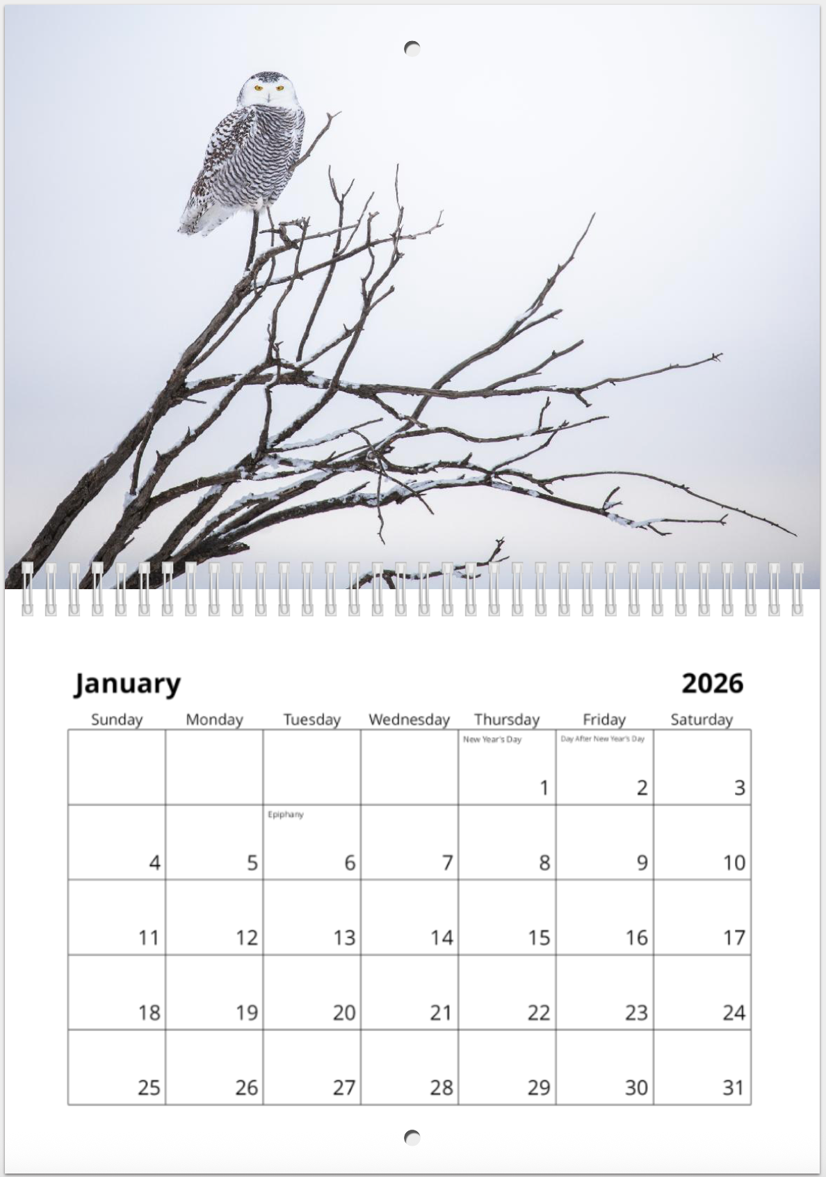 2026 Alberta Wildlife Calendar