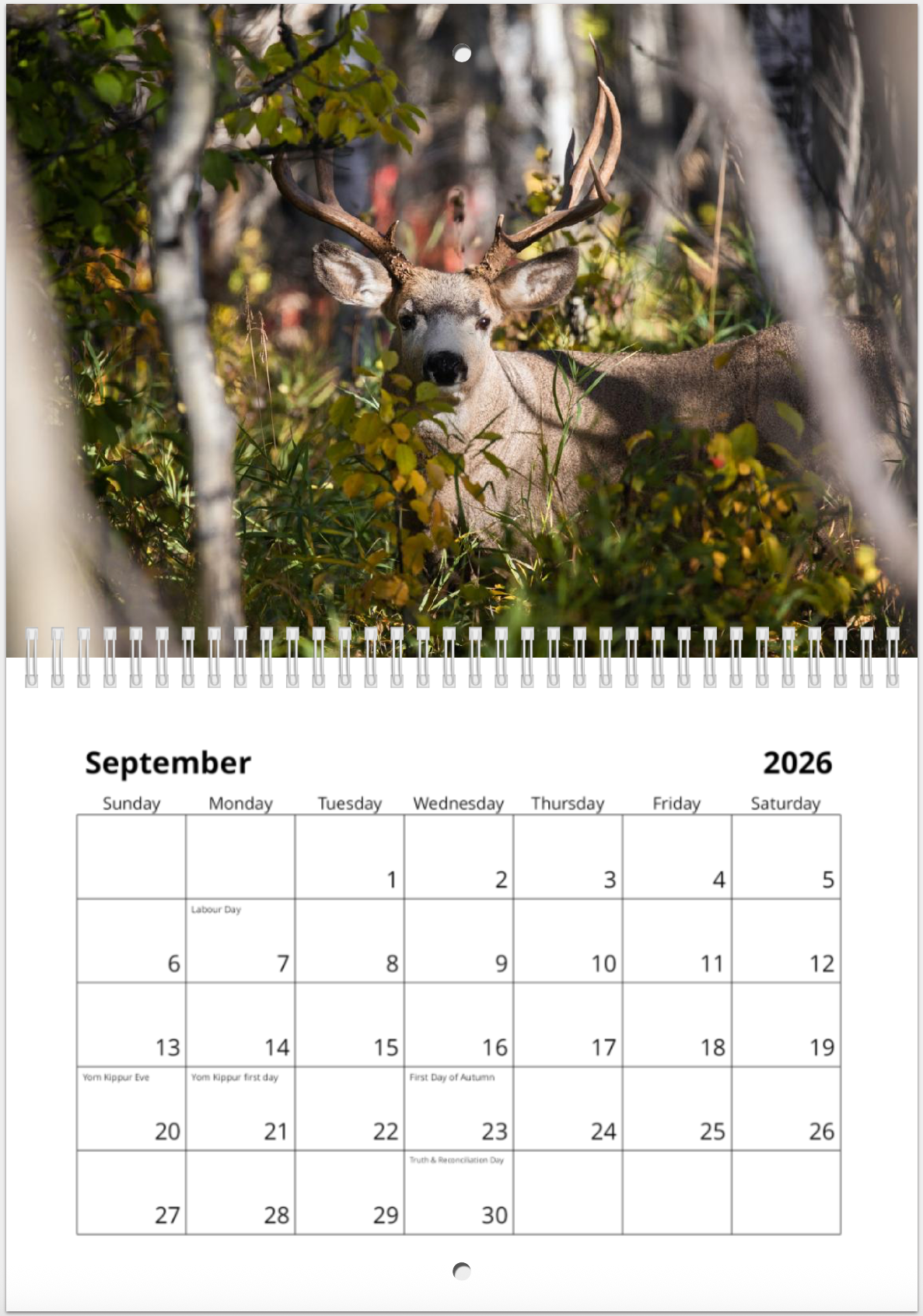 2026 Alberta Wildlife Calendar