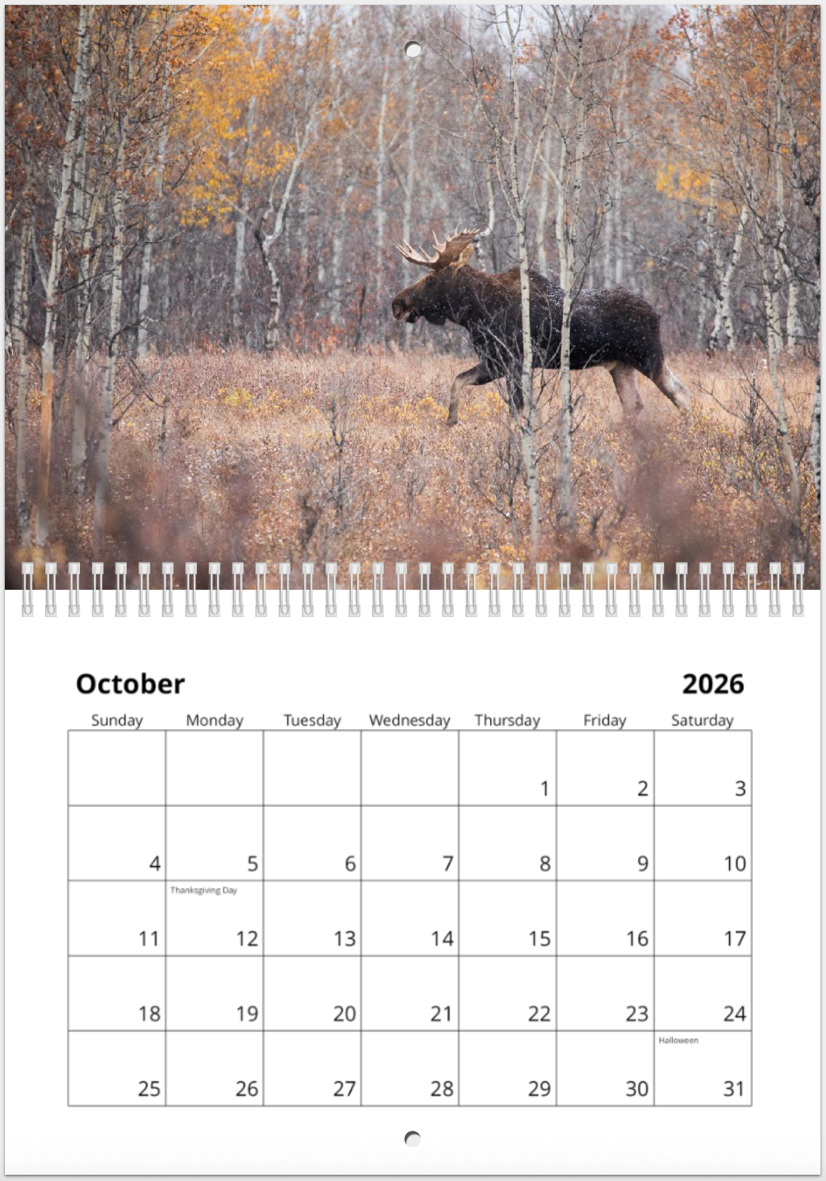 2026 Alberta Wildlife Calendar