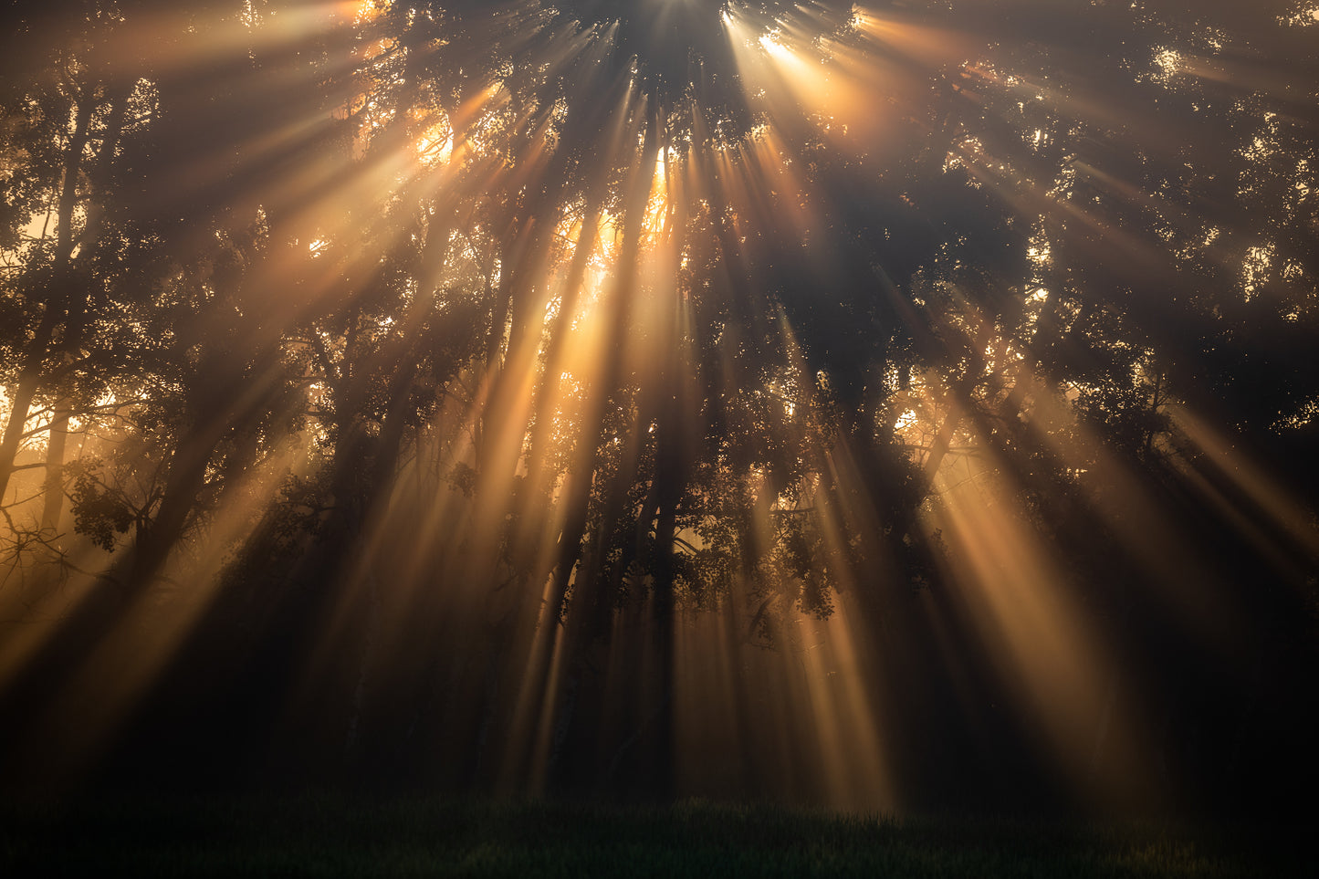 An unreal sunrise in central Alberta