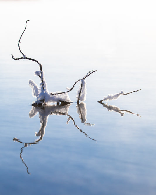 Frost on the water