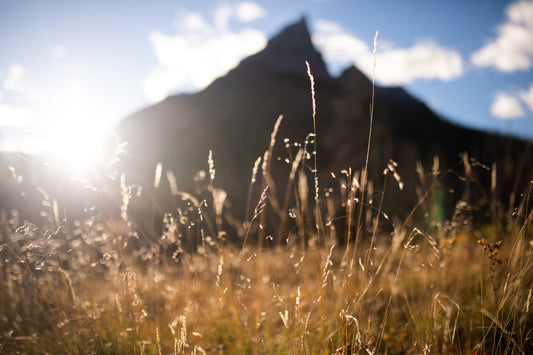 Prairies to Mountains