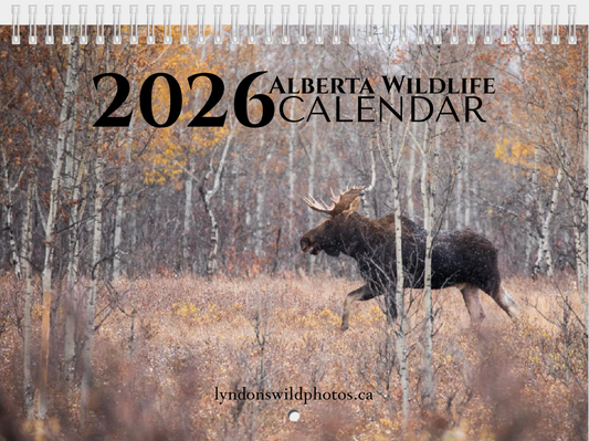 2026 Alberta Wildlife Calendar