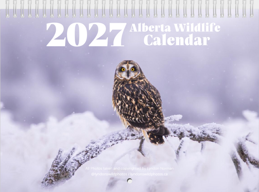 2027 Wildlife Calendar *Pre-Order* Ships Early December