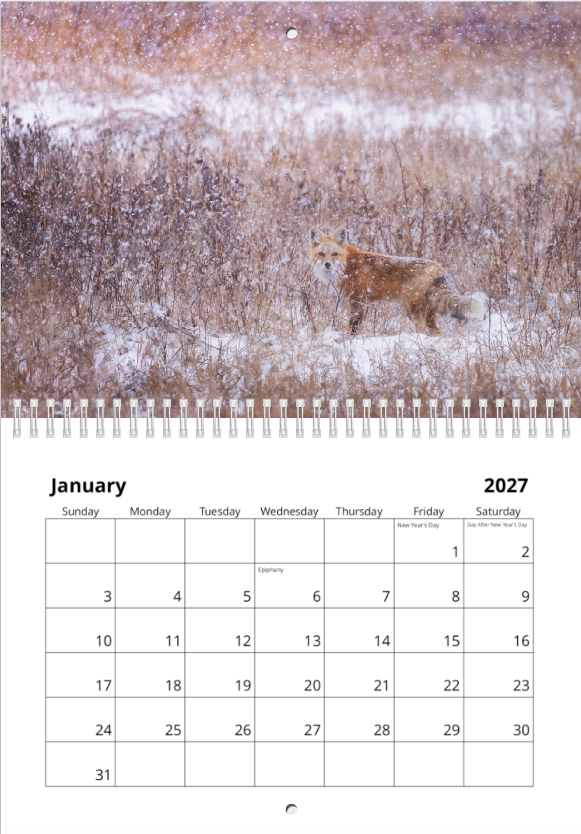 2027 Wildlife Calendar *Pre-Order* Ships Early December