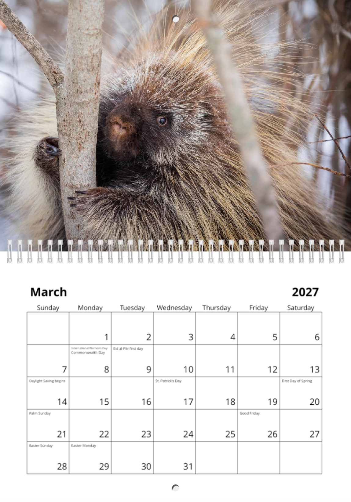 2027 Wildlife Calendar *Pre-Order* Ships Early December
