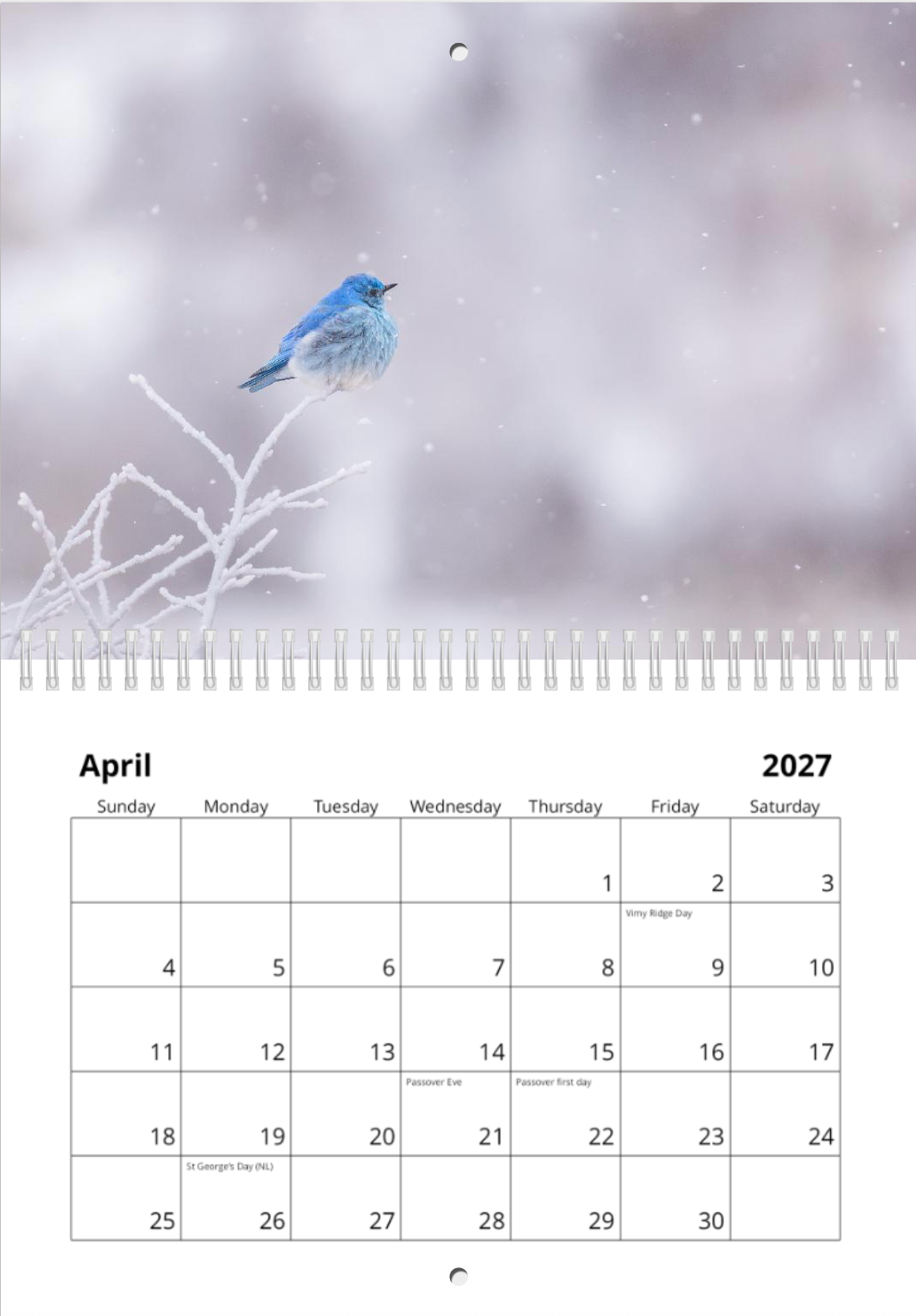 2027 Wildlife Calendar *Pre-Order* Ships Early December