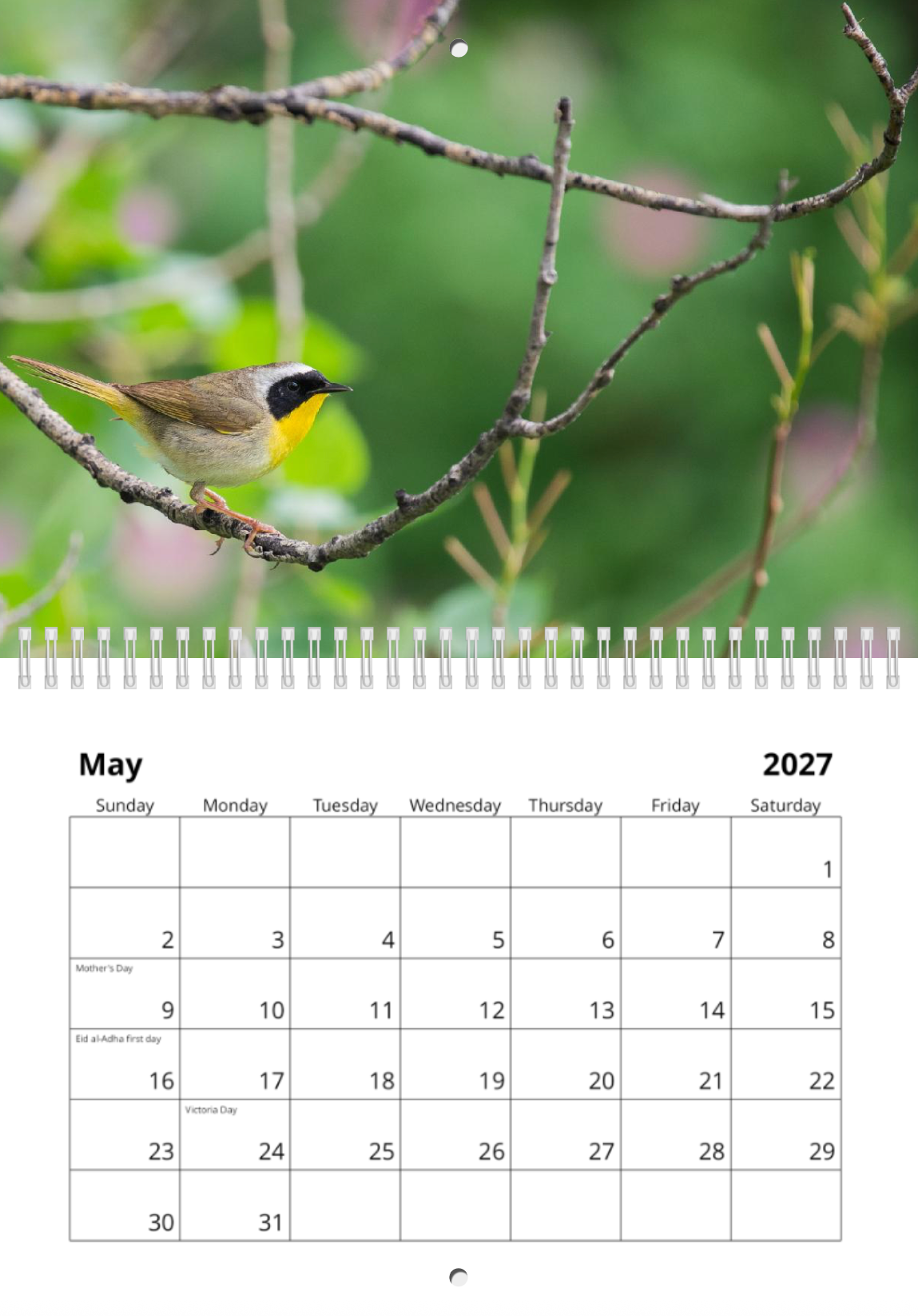 2027 Wildlife Calendar *Pre-Order* Ships Early December