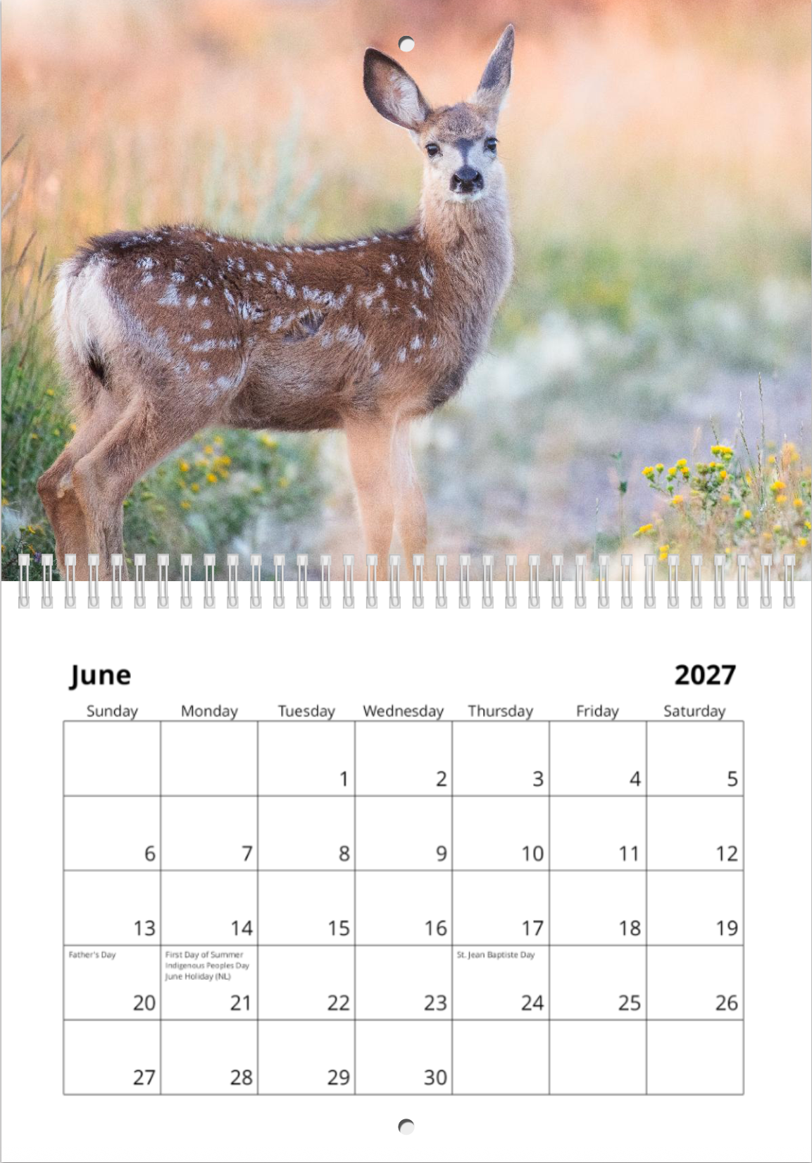 2027 Wildlife Calendar *Pre-Order* Ships Early December