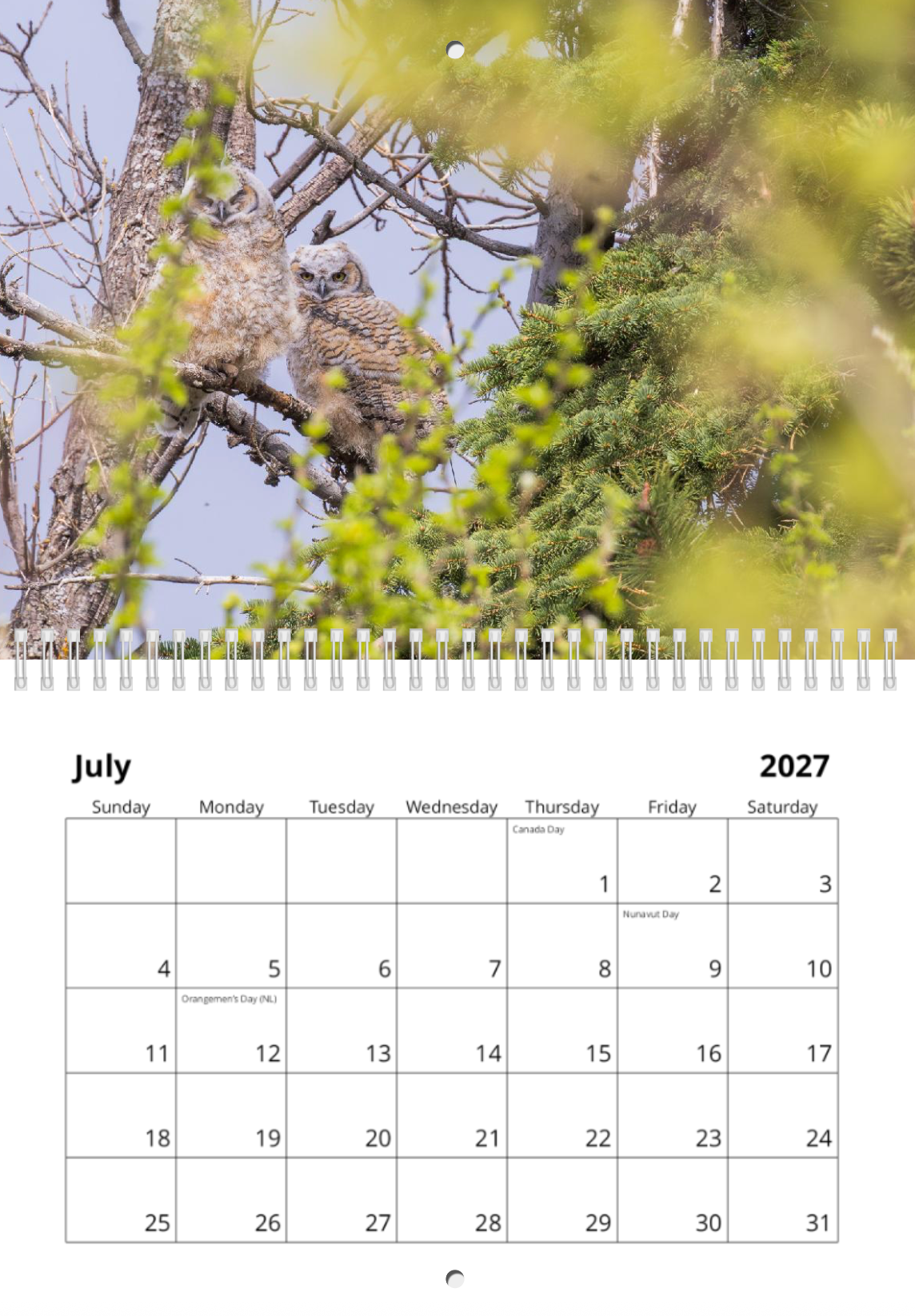 2027 Wildlife Calendar *Pre-Order* Ships Early December