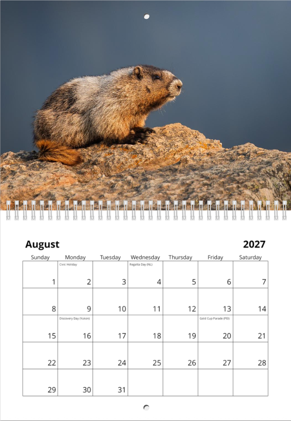 2027 Wildlife Calendar *Pre-Order* Ships Early December