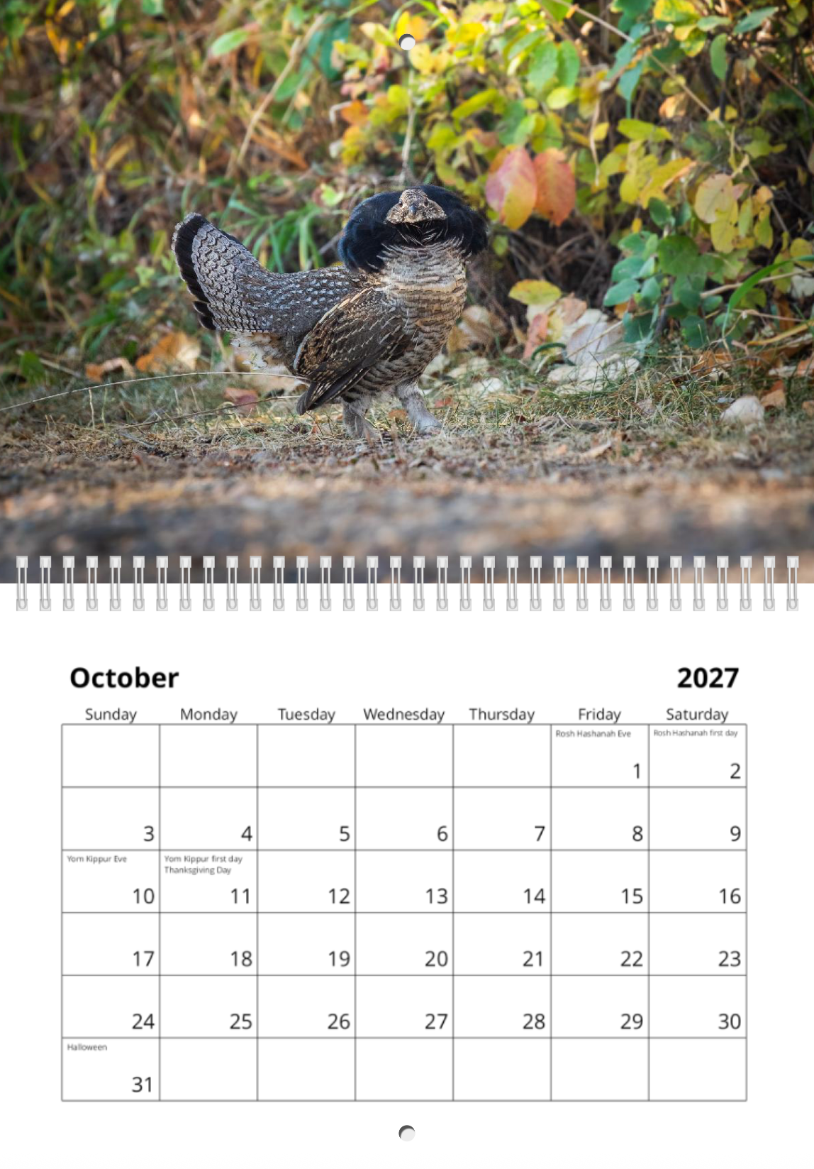 2027 Wildlife Calendar *Pre-Order* Ships Early December