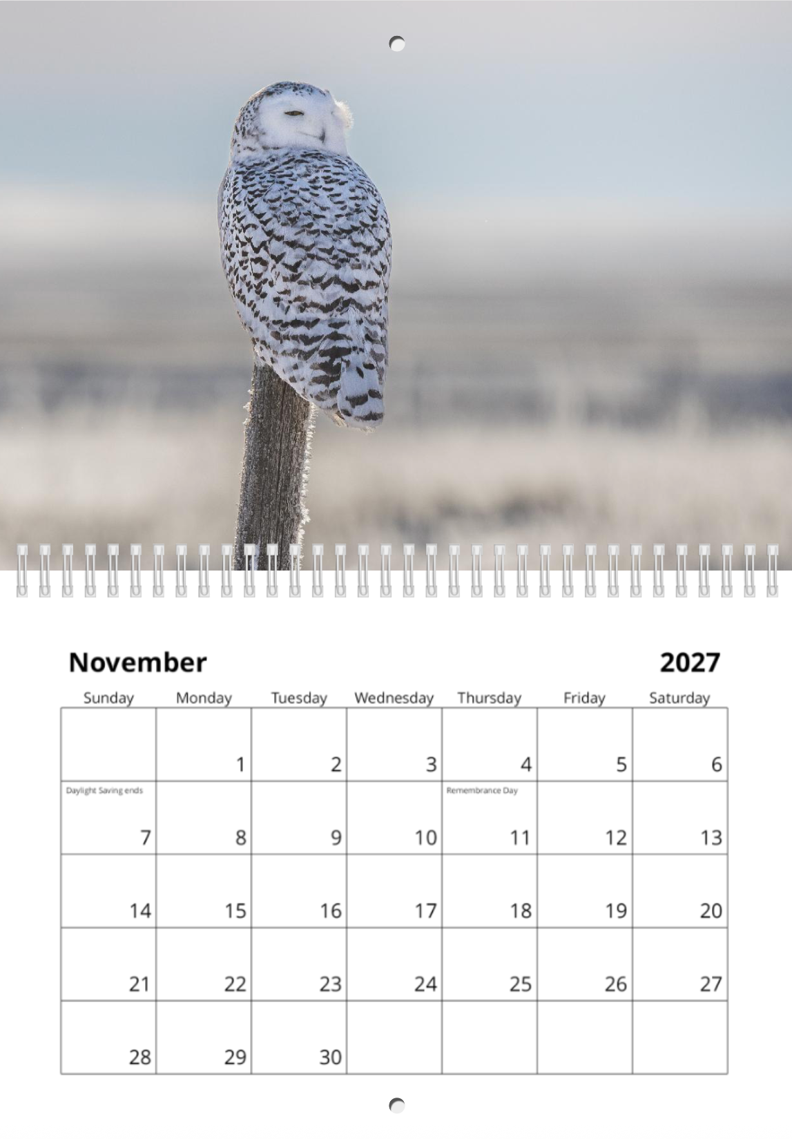 2027 Wildlife Calendar *Pre-Order* Ships Early December