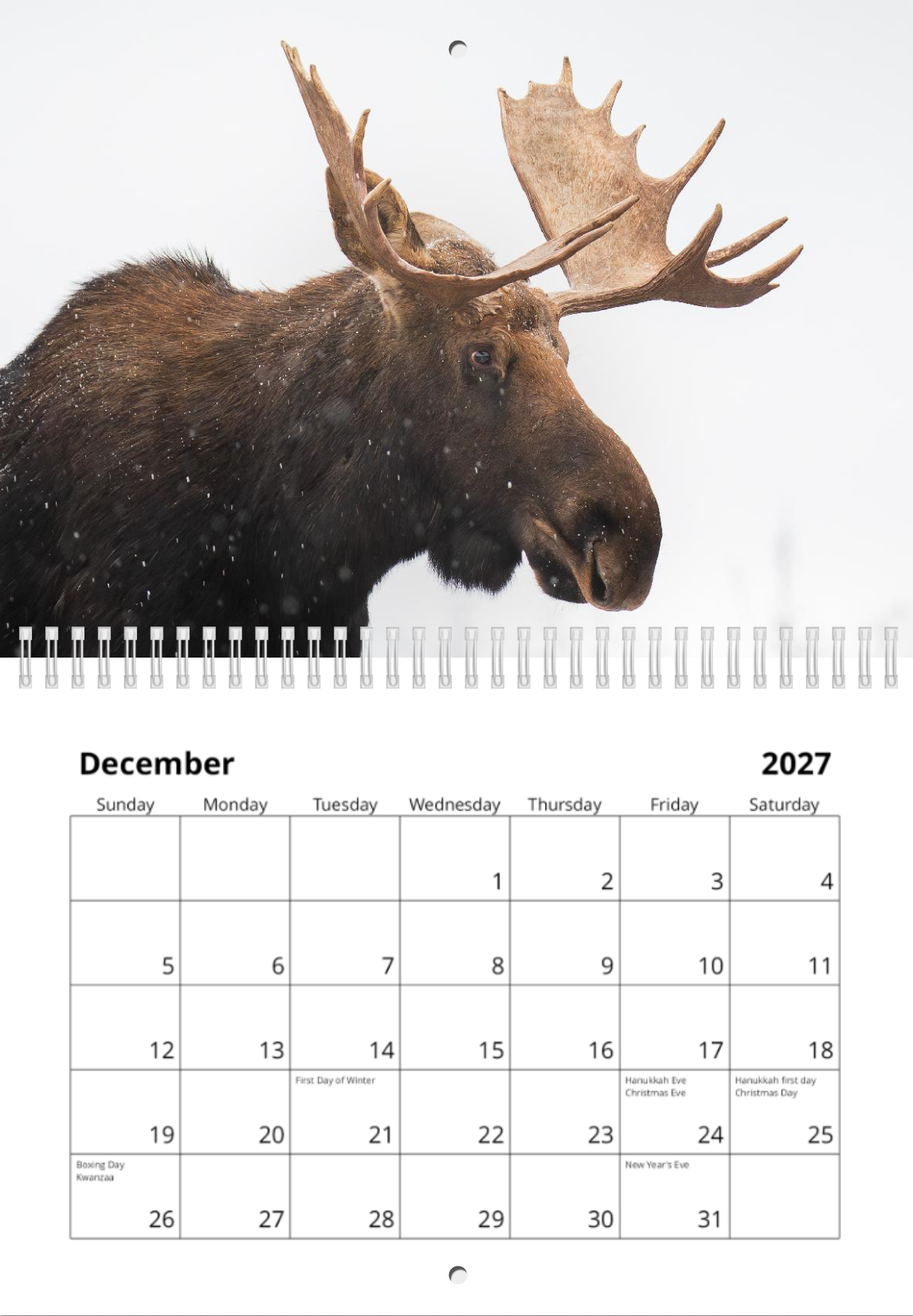 2027 Wildlife Calendar *Pre-Order* Ships Early December