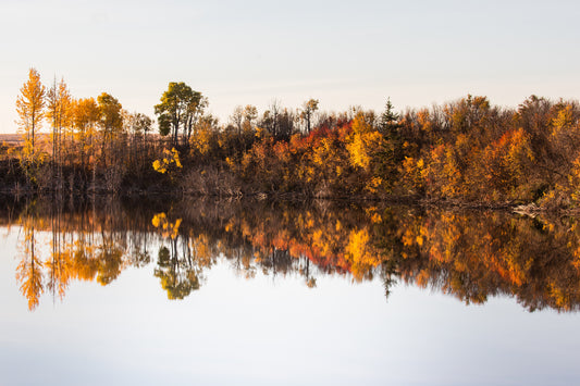 Fall Reflections